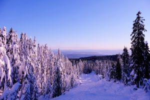 snowboard rental in vancouver