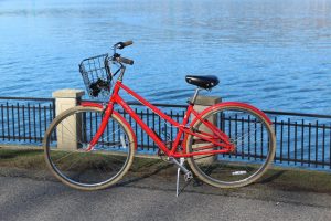 Stanley Park red bike