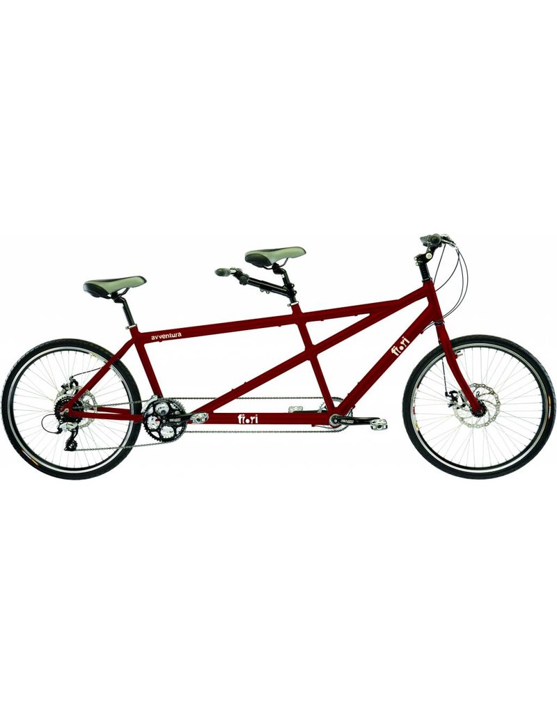 8+ Rent A Tandem Bike